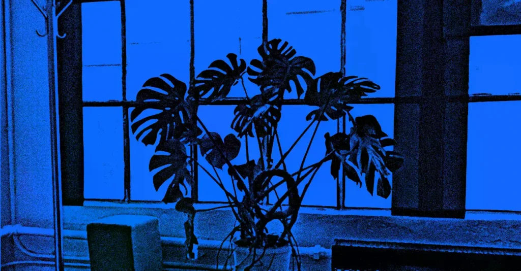 Ilustración que acompaña al artículo de opinión de Paul Ford.