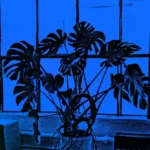 Ilustración que acompaña al artículo de opinión de Paul Ford.